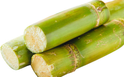 Uống nước mía nhiều có tốt không? Tác dụng của nước mía