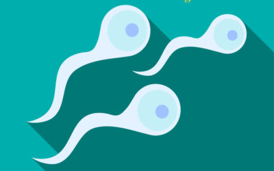 Mới hết kinh 3 ngày quan hệ có thai không? Quan hệ sao cho an toàn?