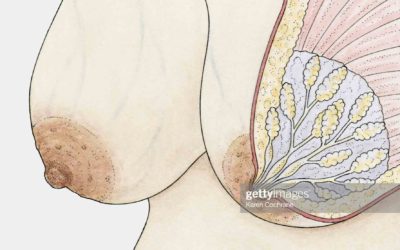 Hình ảnh nhũ hoa khi mới mang thai như thế nào? Sự phát triển của nhũ hoa khi mang thai là gì?