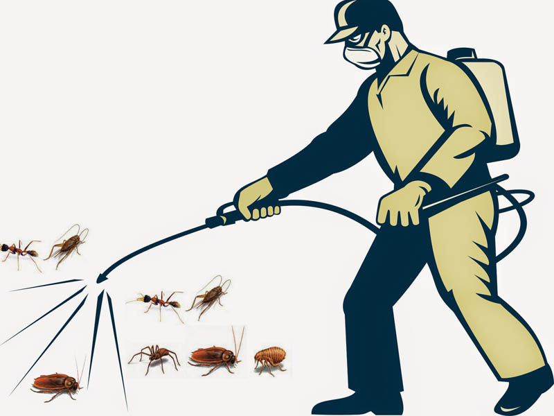 Hàn the diệt côn trùng