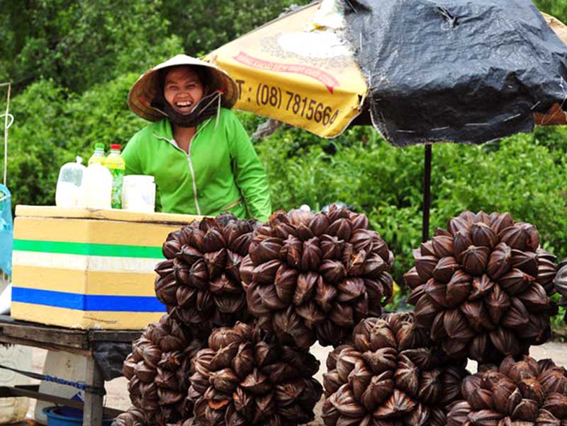 Dừa nước thường được bán ở ven đường về miền Tây