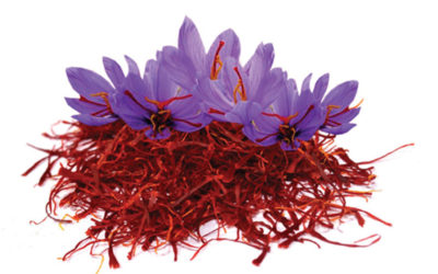 Những ai không nên uống nhuỵ hoa nghệ Tây (Saffron)? Tác dụng của nhuỵ hoa nghệ Tây?
